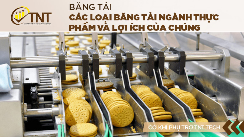 Các loại băng tải ngành thực phẩm và lợi ích của chúng