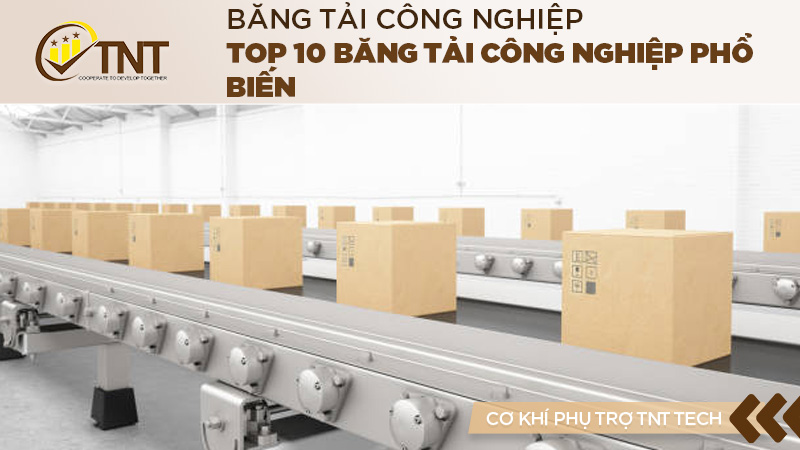 Top 10 Băng tải công nghiệp phổ biến