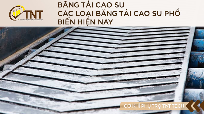 Các loại băng tải cao su phổ biến hiện nay