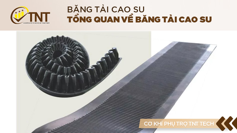 Tổng quan về băng tải cao su