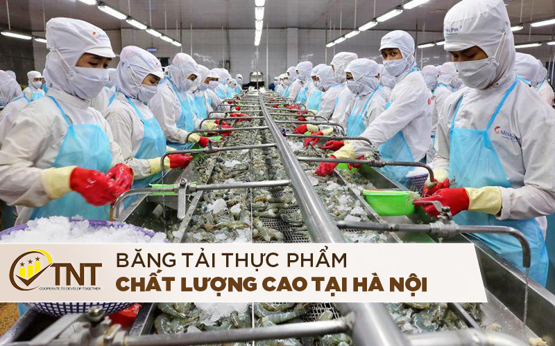 Băng tải thực phẩm