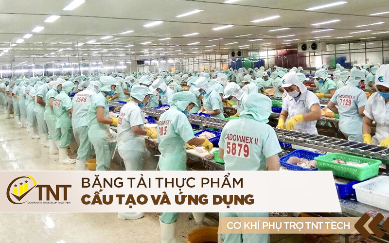 Băng tải thực phẩm